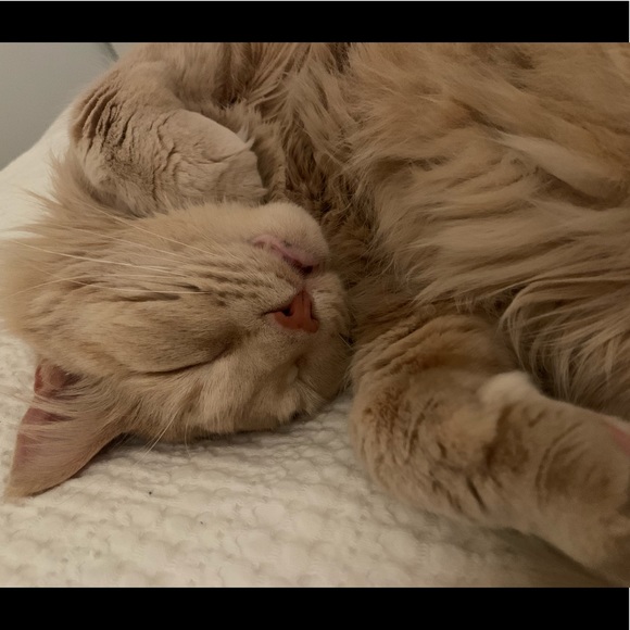 Meet your Posher, Katherine - Picture 1 of 1